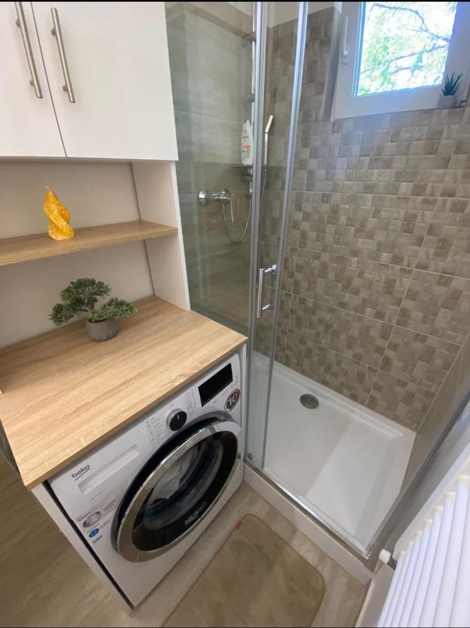 Apartamentul Gaviota 티미쇼아라 외부 사진