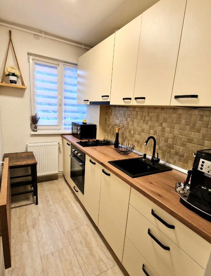 Apartamentul Gaviota 티미쇼아라 외부 사진